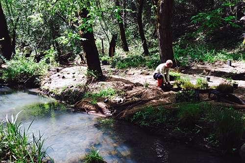 Conn Creek Restoration