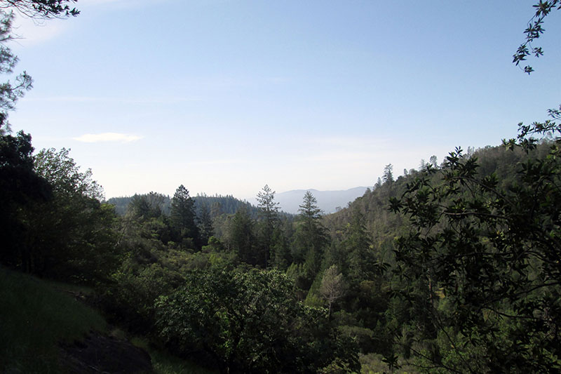 Bell Canyon - looking downstream toward Bell Canyon Reservoir